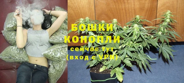 кокс Няндома