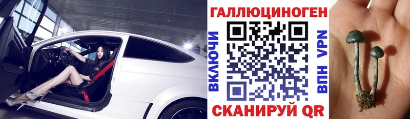 ссылка на мегу сайт  где купить наркоту  Малаховка  Галлюциногенные грибы мицелий 